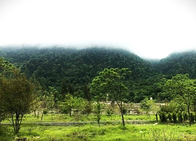 فروش زمین 260 متری سنددار شهرکی در نوشهر